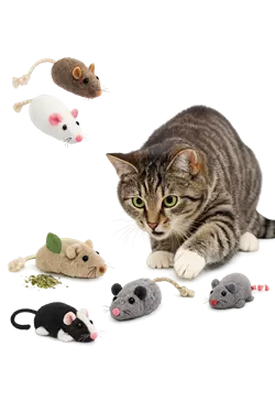 Gato jugando con ratones de juguete